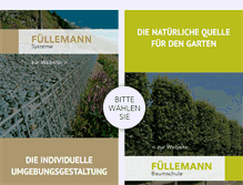 Tablet Screenshot of fuellemann.ch